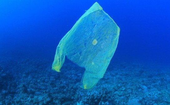 Plastic bottles in the ocean